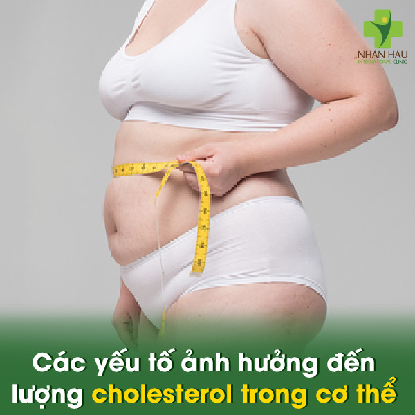Các yếu tố ảnh hưởng đến lượng cholesterol trong cơ thể