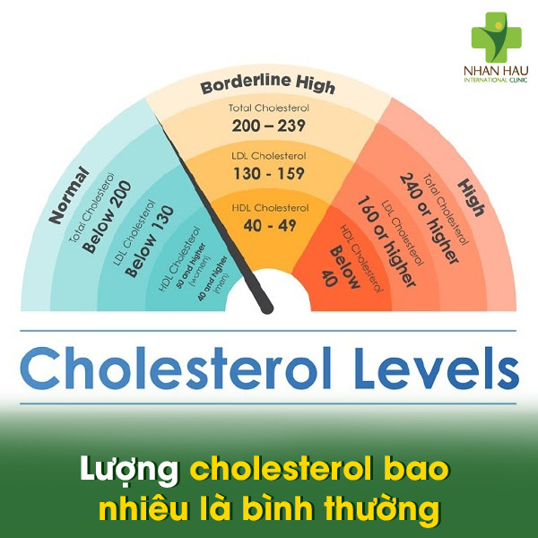 Lượng cholesterol bao nhiêu là bình thường
