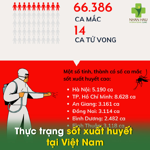 Thực trạng sốt xuất huyết tại Việt Nam