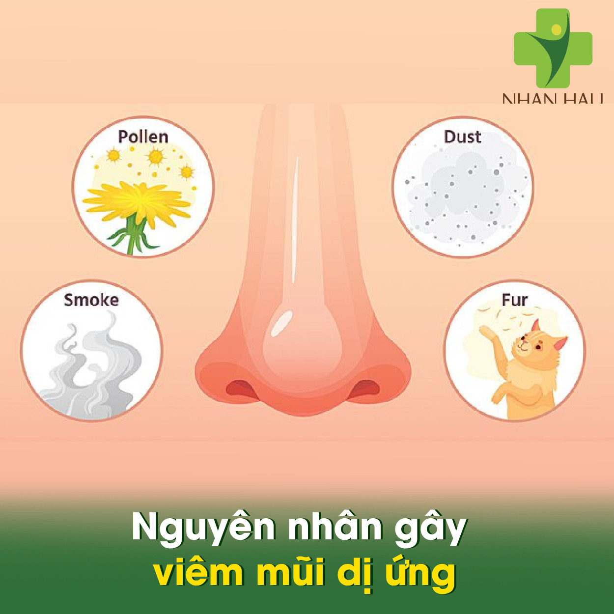 Nguyên nhân gây viêm mũi dị ứng