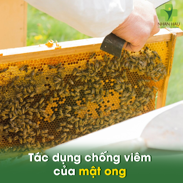 Tác dụng chống viêm của mật ong