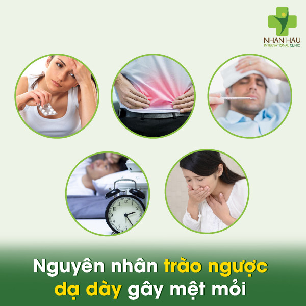 Trào ngược dạ dày gây mệt mỏi: Nguyên nhân và cách khắc phục 1 Nguyên nhân trào ngược dạ dày gây mệt mỏi