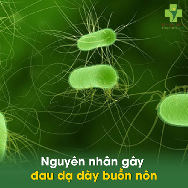 Nguyên nhân gây đau dạ dày buồn nôn
