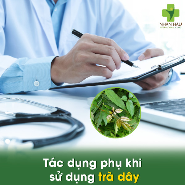 Uống trà dây chữa đau dạ dày? Uống trà dây hằng ngày có tốt không 3 Tác dụng phụ khi sử dụng trà dây chữa đau dạ dày