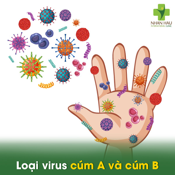 Loại virus cúm A và cúm B