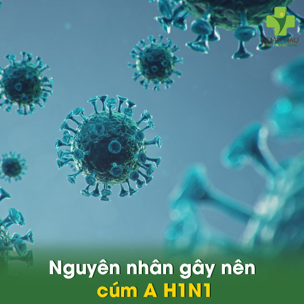 Nguyên nhân gây nên cúm A H1N1