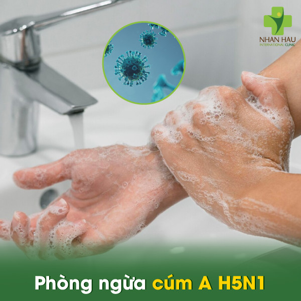 Cúm A H5N1 là gì? Những biến chứng nguy hiểm của cúm A H5N1 4 Phòng ngừa cúm A H5N1
