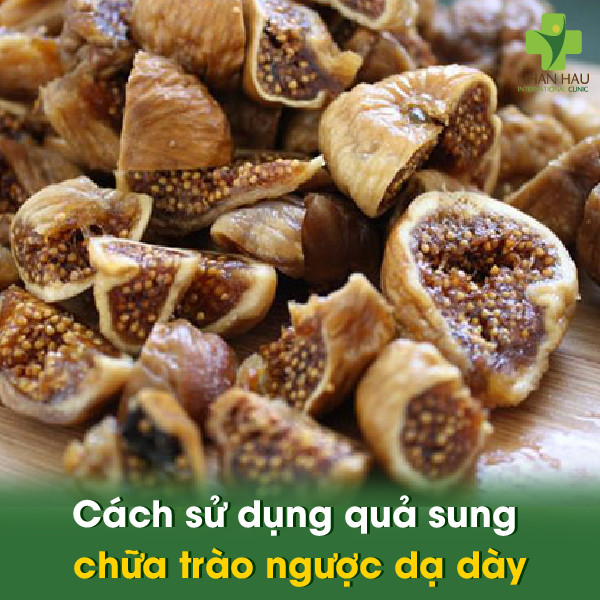 Cách sử dụng quả sung chữa trào ngược dạ dày