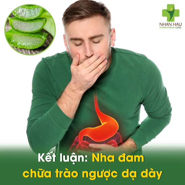 Kết luận: Nha đam chữa trào ngược dạ dày