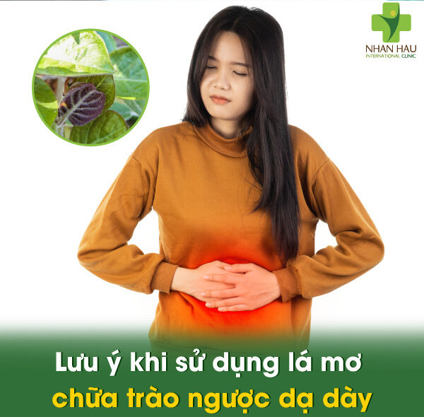 Lưu ý khi sử dụng lá mơ chữa trào ngược dạ dày