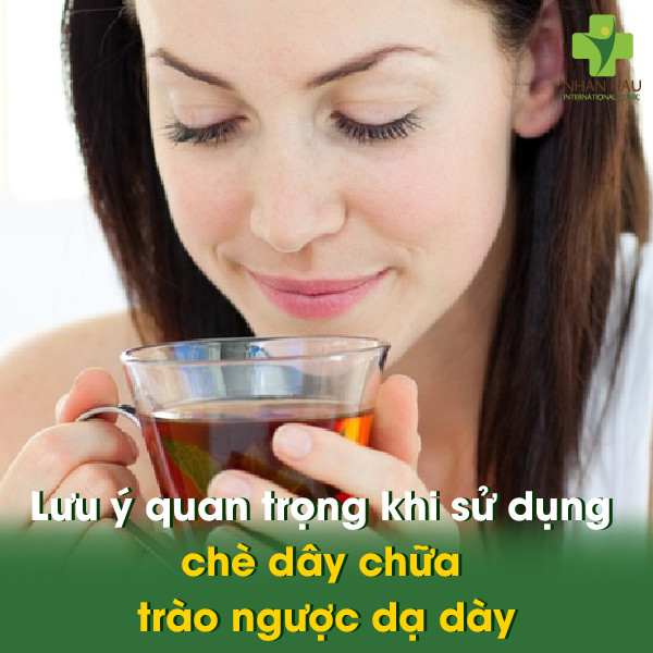 Lưu ý quan trọng khi sử dụng chè dây chữa trào ngược dạ dày