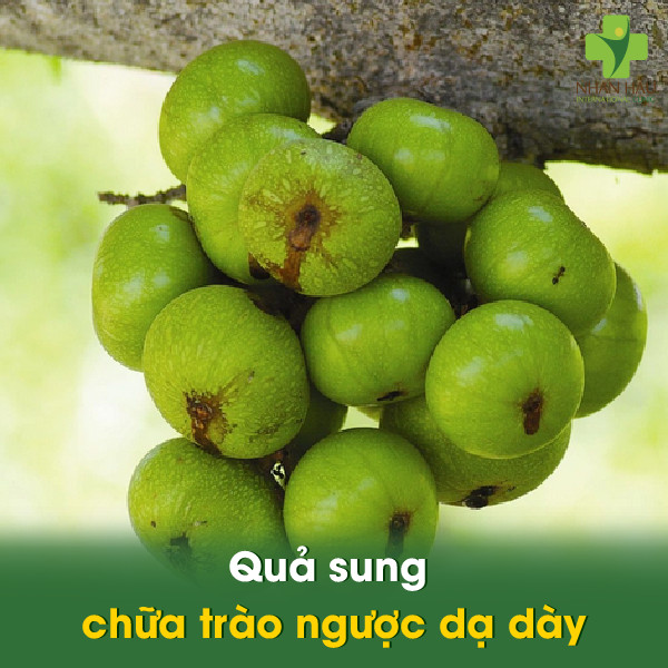 Quả sung chữa trào ngược dạ dày