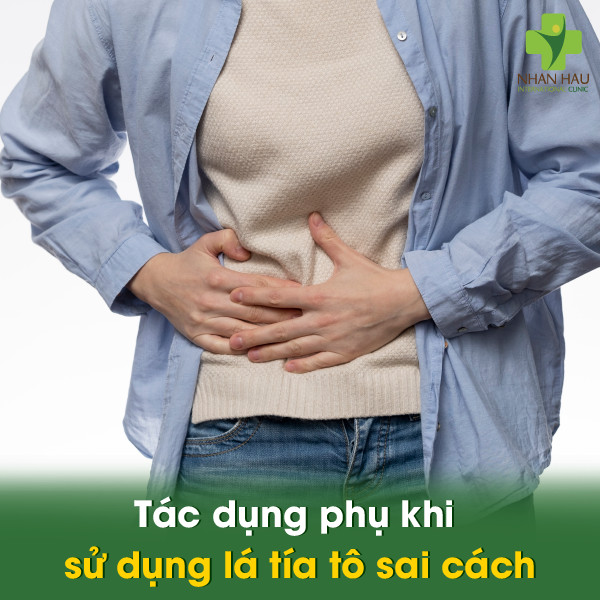 Tác dụng phụ khi sử dụng lá tía tô sai cách