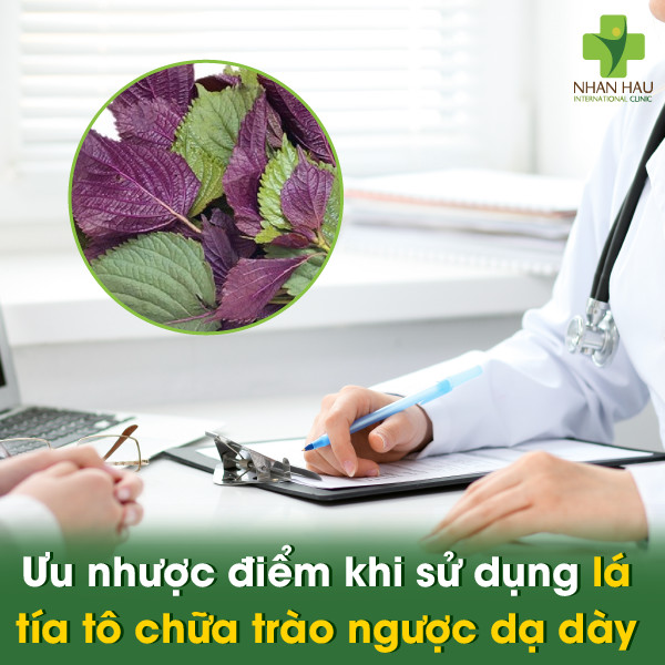 Ưu nhược điểm khi sử dụng lá tía tô chữa trào ngược dạ dày