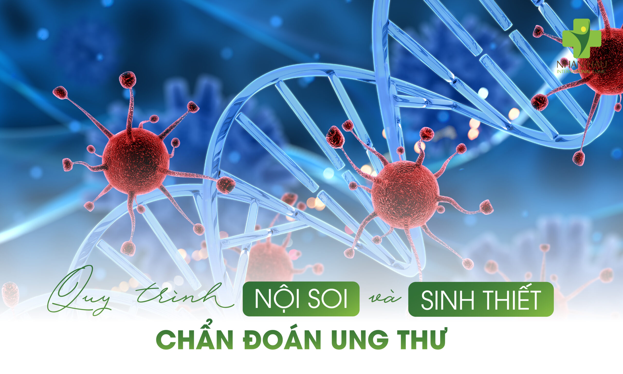 Nội Soi Dạ Dày Có Phát Hiện Ung Thư Dạ Dày Không? Giải Đáp Toàn Diện Từ Chuyên Gia 6 Quy Trình Nội Soi Và Sinh Thiết Chẩn Đoán Ung Thư