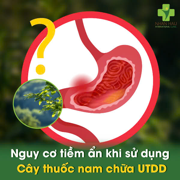 Cây Thuốc Nam Chữa Ung Thư Dạ Dày: Hiểu Đúng Về Công Dụng và Rủi Ro 3 Nguy cơ tiềm ẩn khi sử dụng Cây thuốc nam chữa ung thư dạ dày