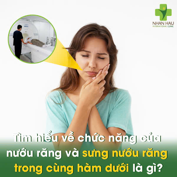 Tìm hiểu về chức năng của nướu răng và sưng nướu răng trong cùng hàm dưới là gì?