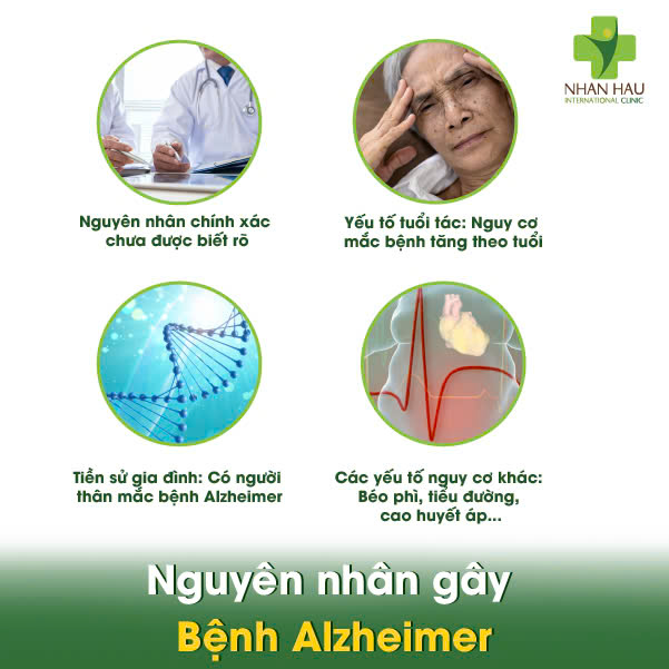 Nguyên nhân gây Bệnh Alzheimer