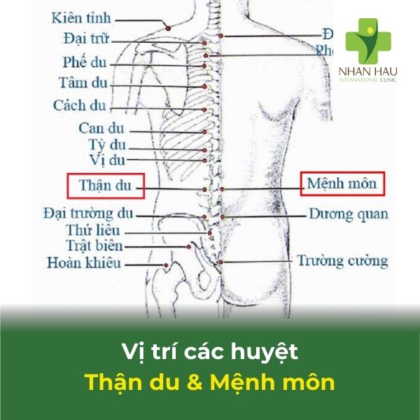 Cách bấm huyệt cho người bị tai biến mạch máu não 7 vị trí huyệt thần du & mệnh môn