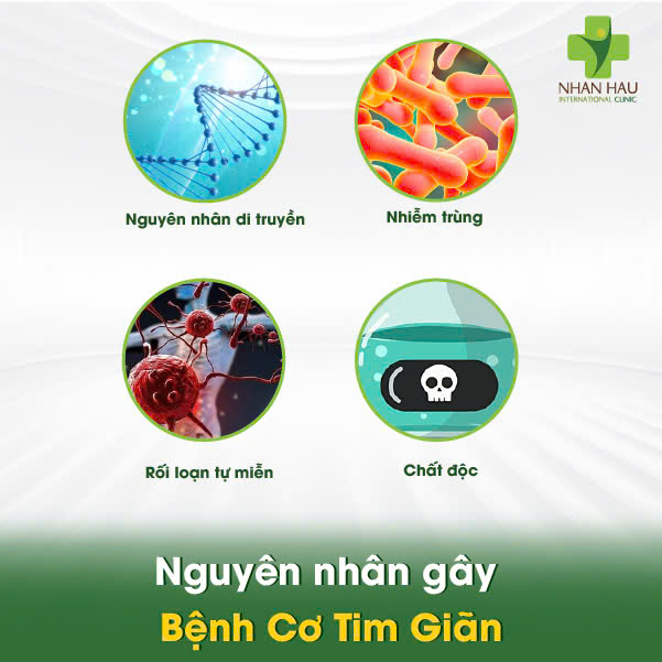 Nguyên nhân gây Bệnh Cơ Tim Giãn