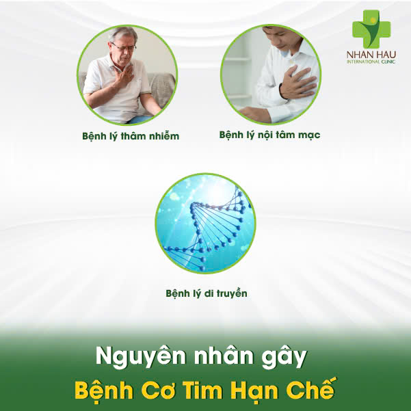 Nguyên nhân gây Bệnh Cơ Tim Hạn Chế