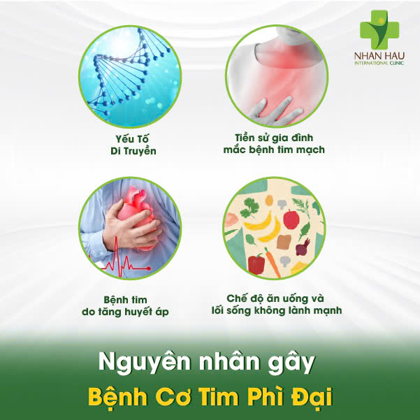 Nguyên nhân gây Bệnh Cơ Tim Phì Đại