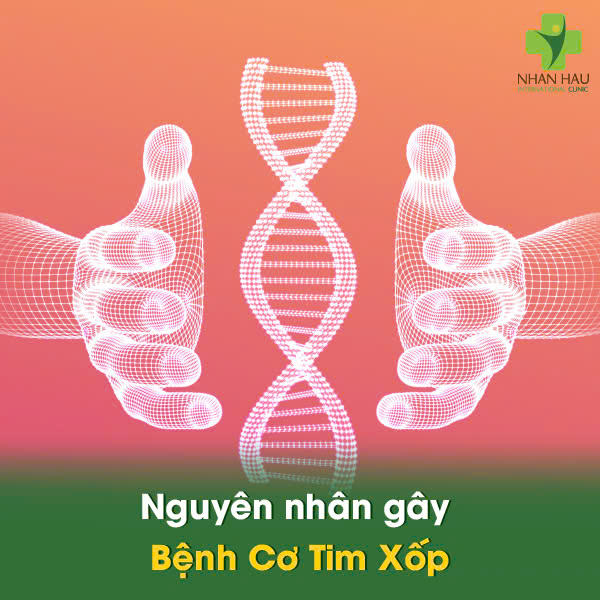 Bệnh Cơ Tim Xốp: Hiểu về Tình Trạng Hiếm Gặp nhưng Nguy Hiểm 2 Nguyên nhân gây Bệnh Cơ Tim Xốp