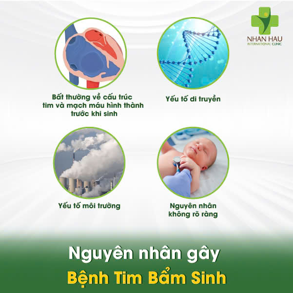 Nguyên nhân gây Bệnh Tim Bẩm Sinh