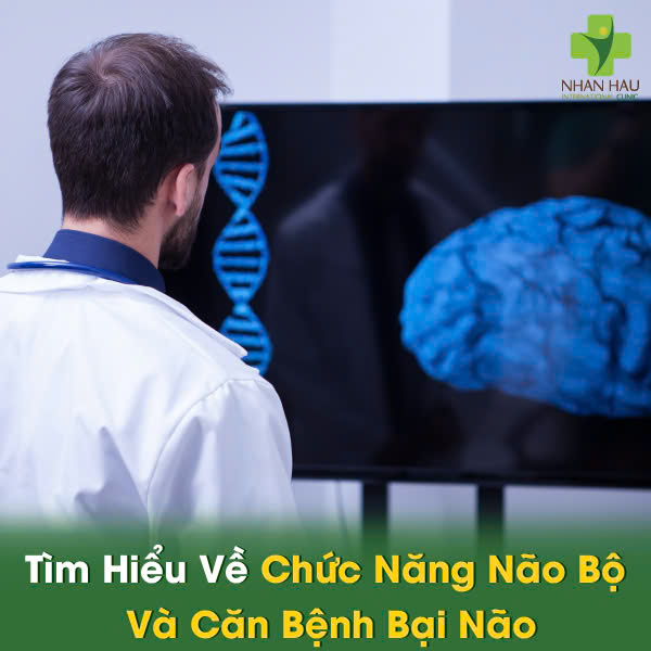 Tìm Hiểu Về Chức Năng Não Bộ Và Căn Bệnh Bại Não