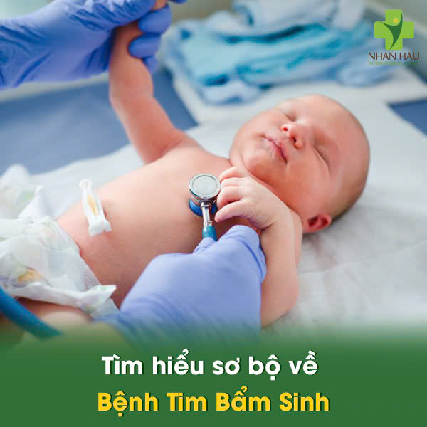 Tìm hiểu sơ bộ về Bệnh Tim Bẩm Sinh