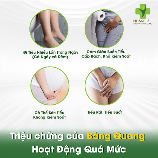 Triệu chứng của Bàng Quang Hoạt Động Quá Mức