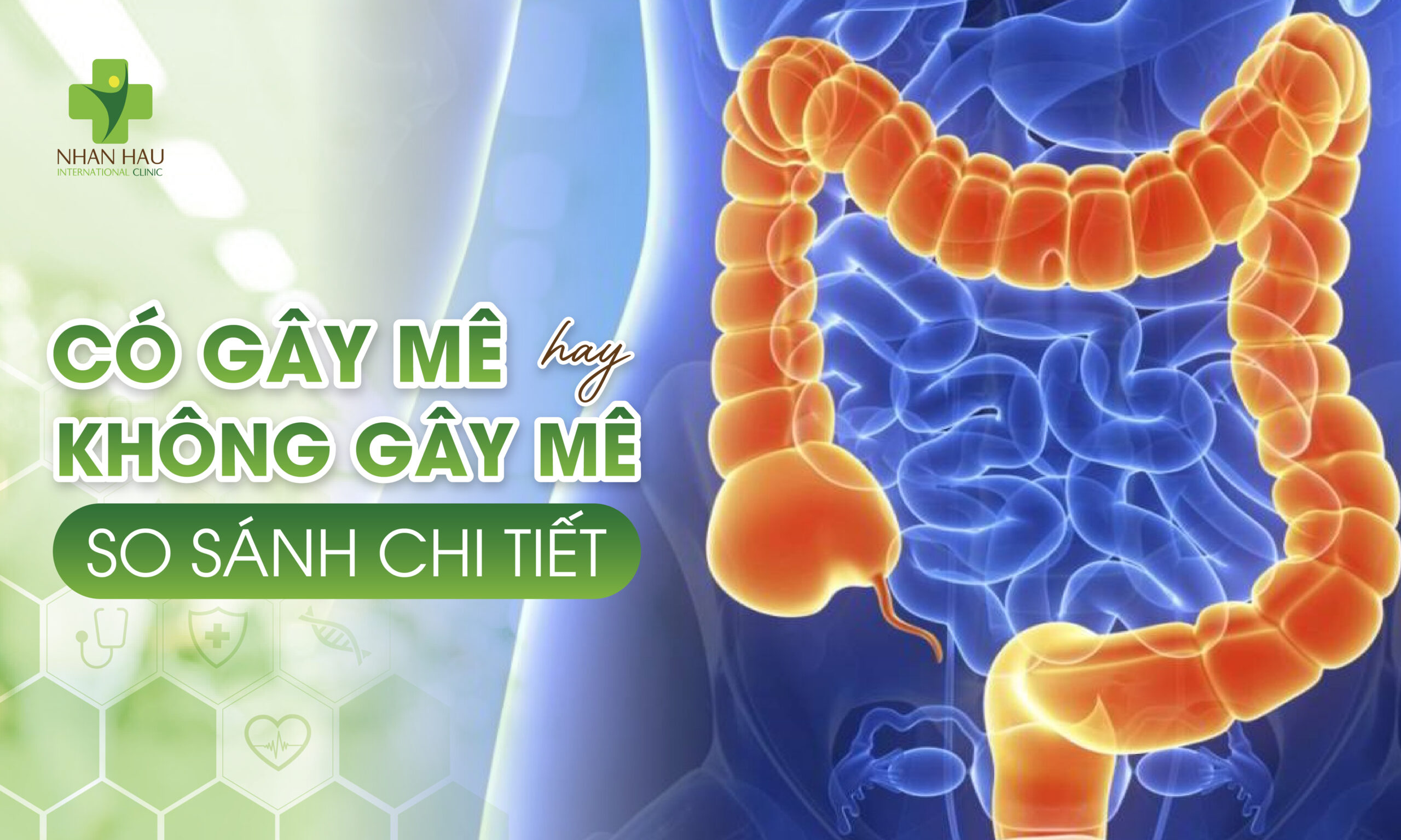 Nội Soi Đại Tràng Có Gây Mê Hay Không Gây Mê? So Sánh Chi Tiết