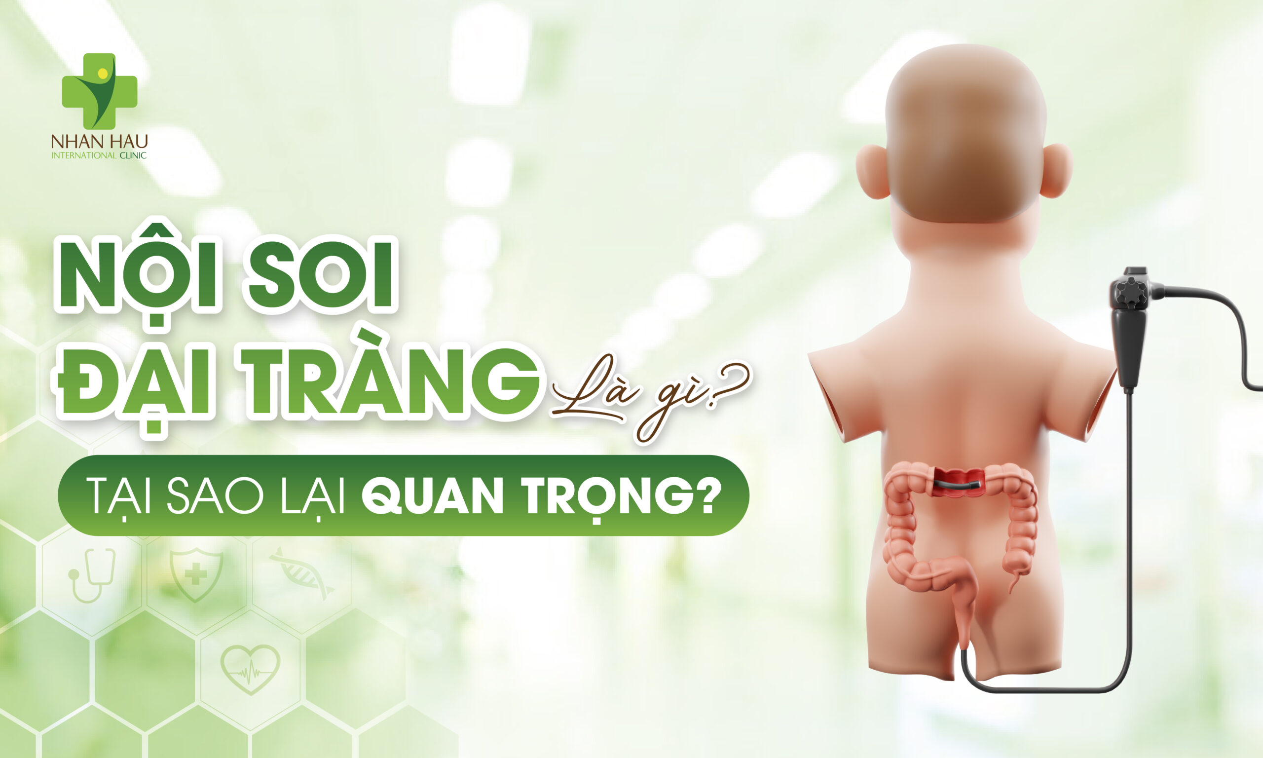 Nội Soi Đại Tràng Là Gì? Tại Sao Lại Quan Trọng?
