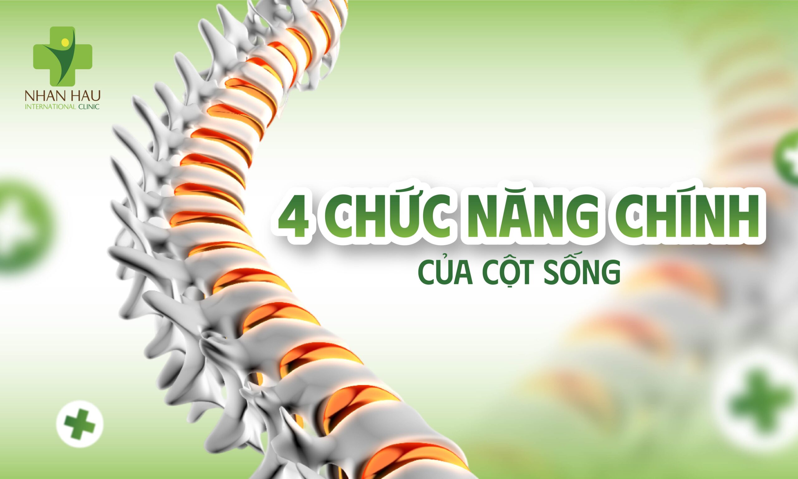 4 Chức Năng Chính Của Cột Sống