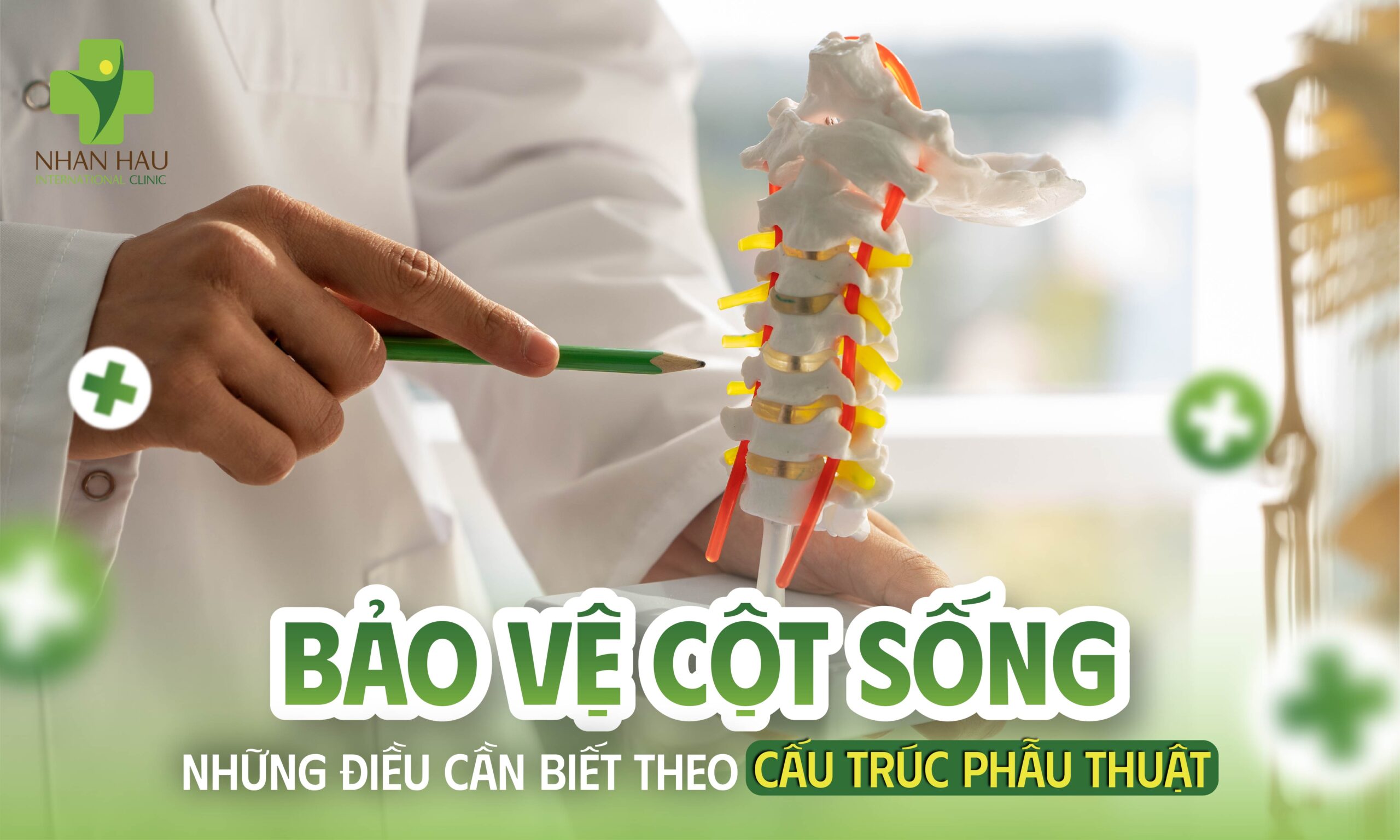Bảo Vệ Cột Sống: Những Điều Cần Biết Theo Cấu Trúc Giải Phẫu
