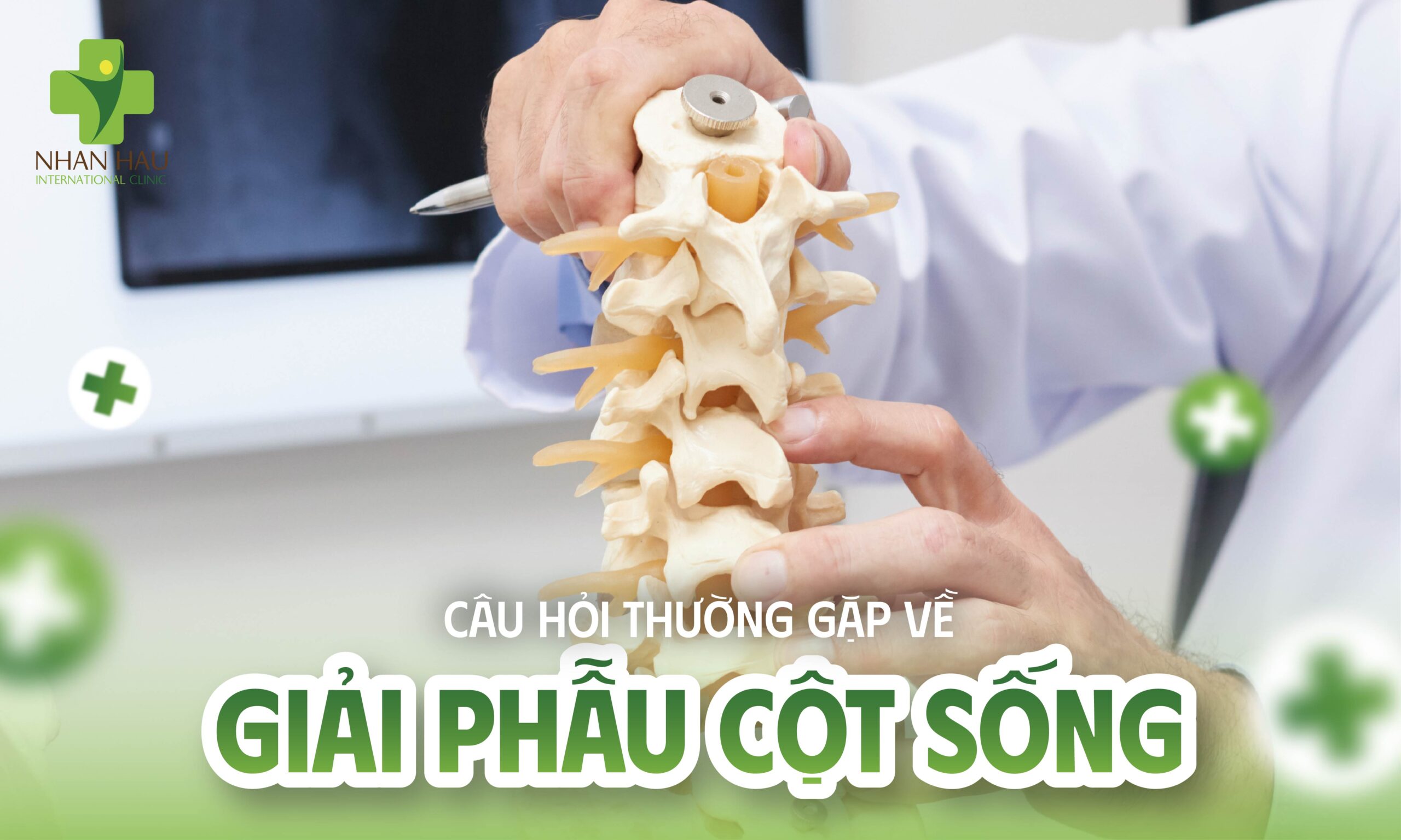 Câu Hỏi Thường Gặp Về Giải Phẫu Cột Sống