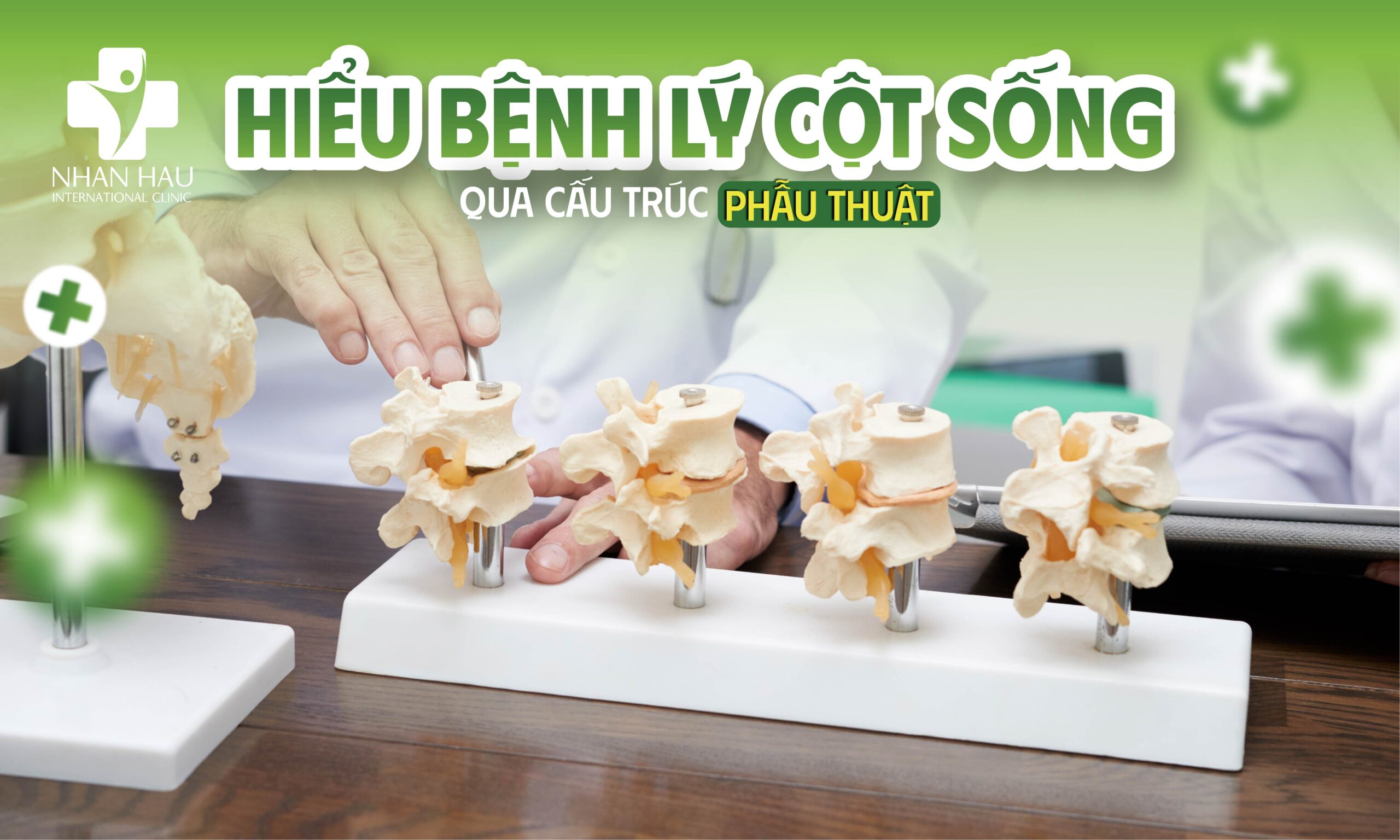Hiểu Bệnh Lý Cột Sống Qua Cấu Trúc Giải Phẫu