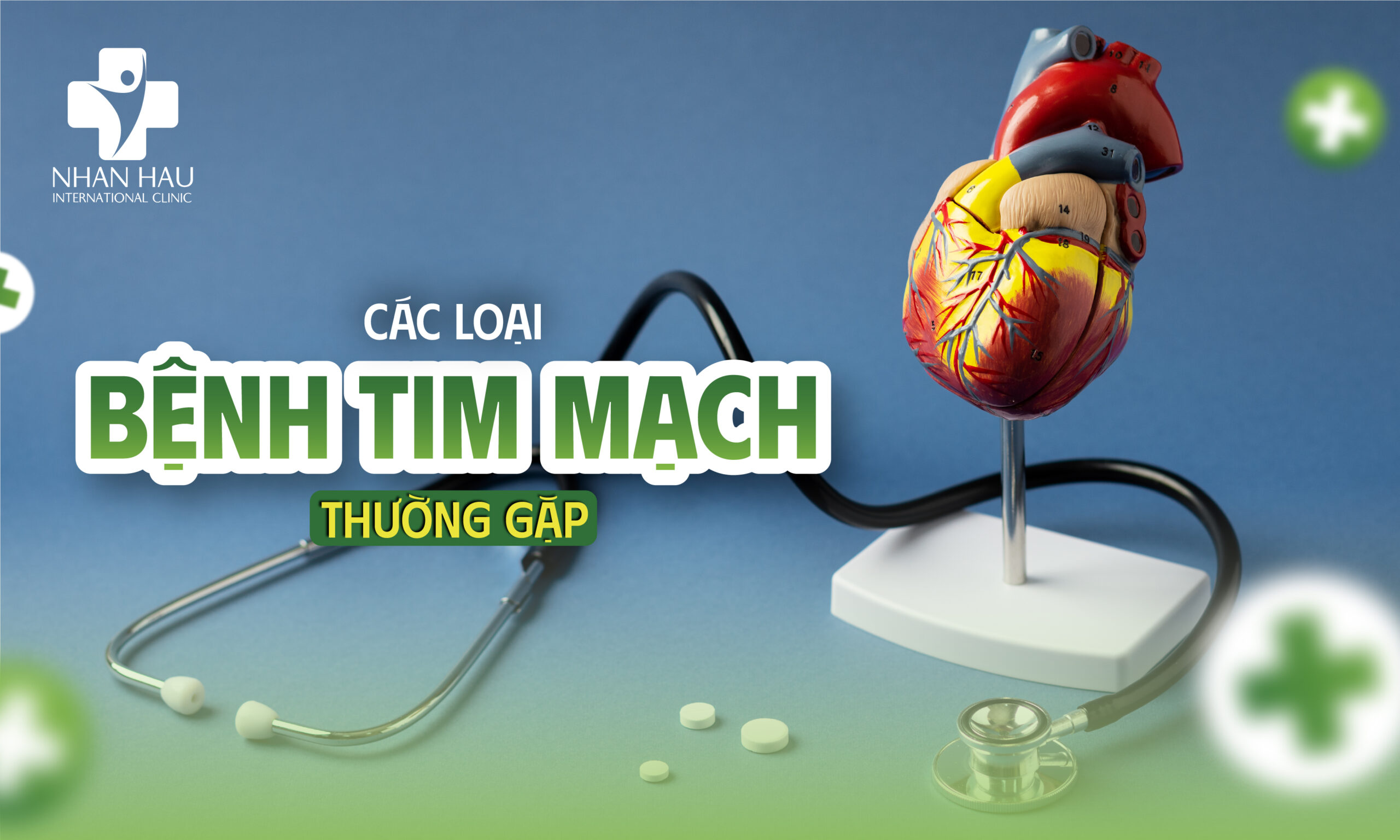 Các loại bệnh tim mạch thường gặp