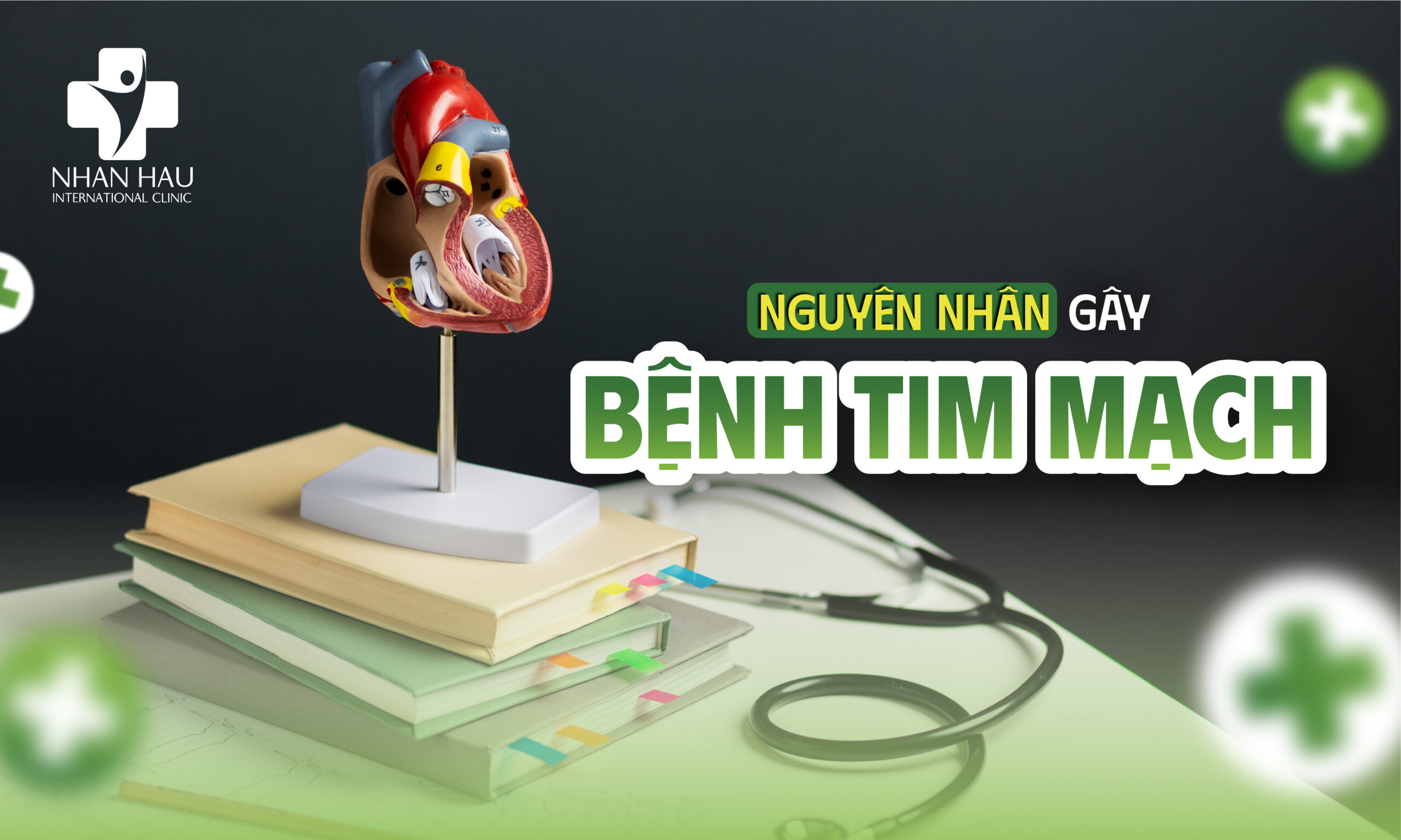 Nguyên nhân gây Bệnh Tim Mạch