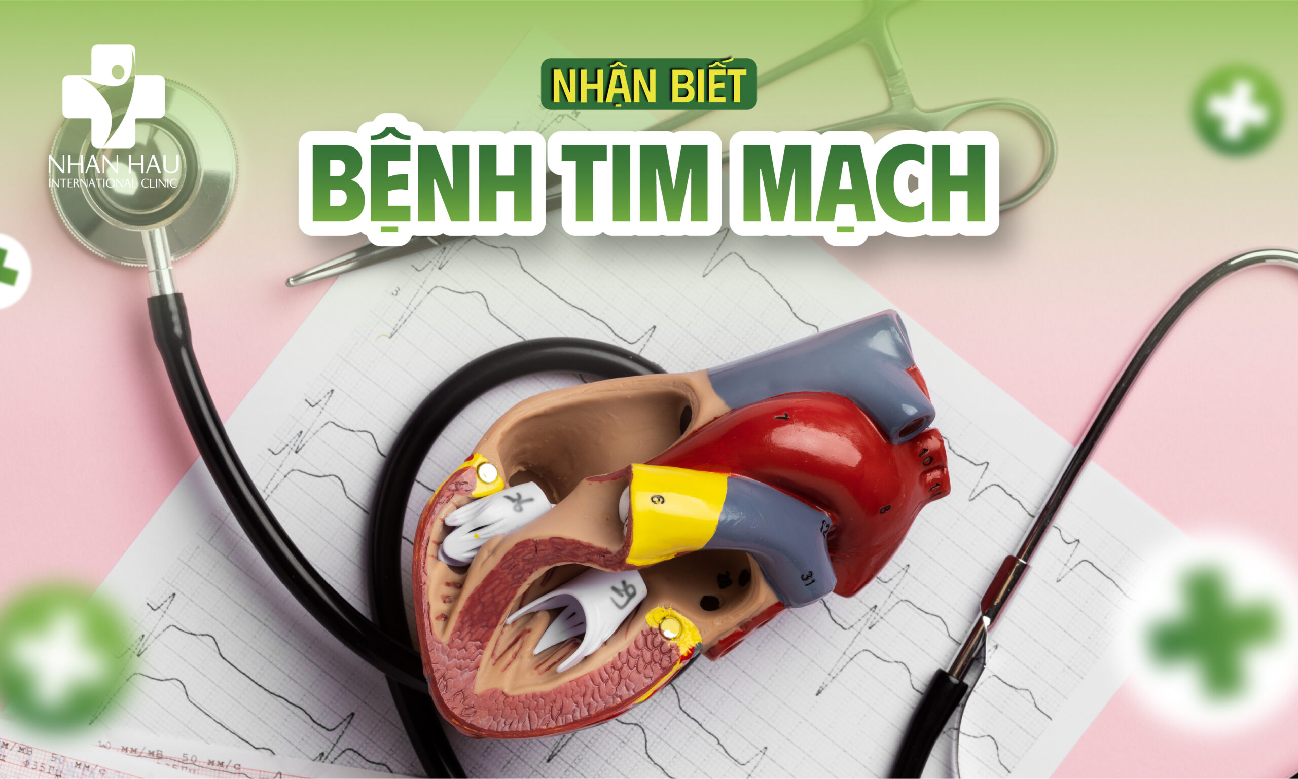 Nhận Biết Bệnh Tim Mạch