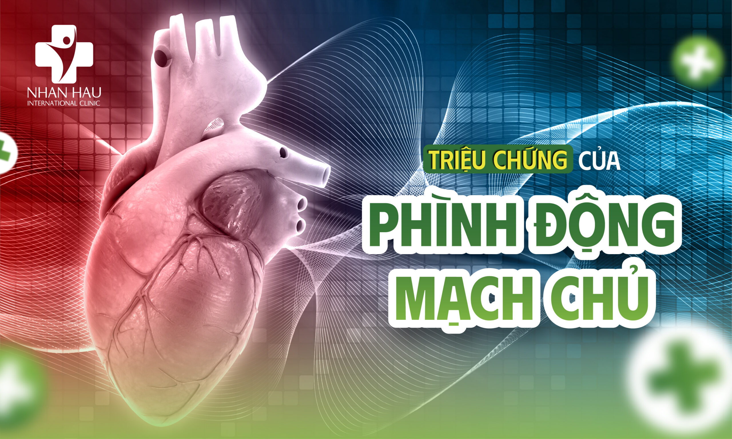Bệnh Phình Động Mạch Chủ: Nguyên Nhân, Triệu Chứng, Chẩn Đoán và Điều Trị 3 Triệu chứng của Bệnh Phình Động Mạch Chủ