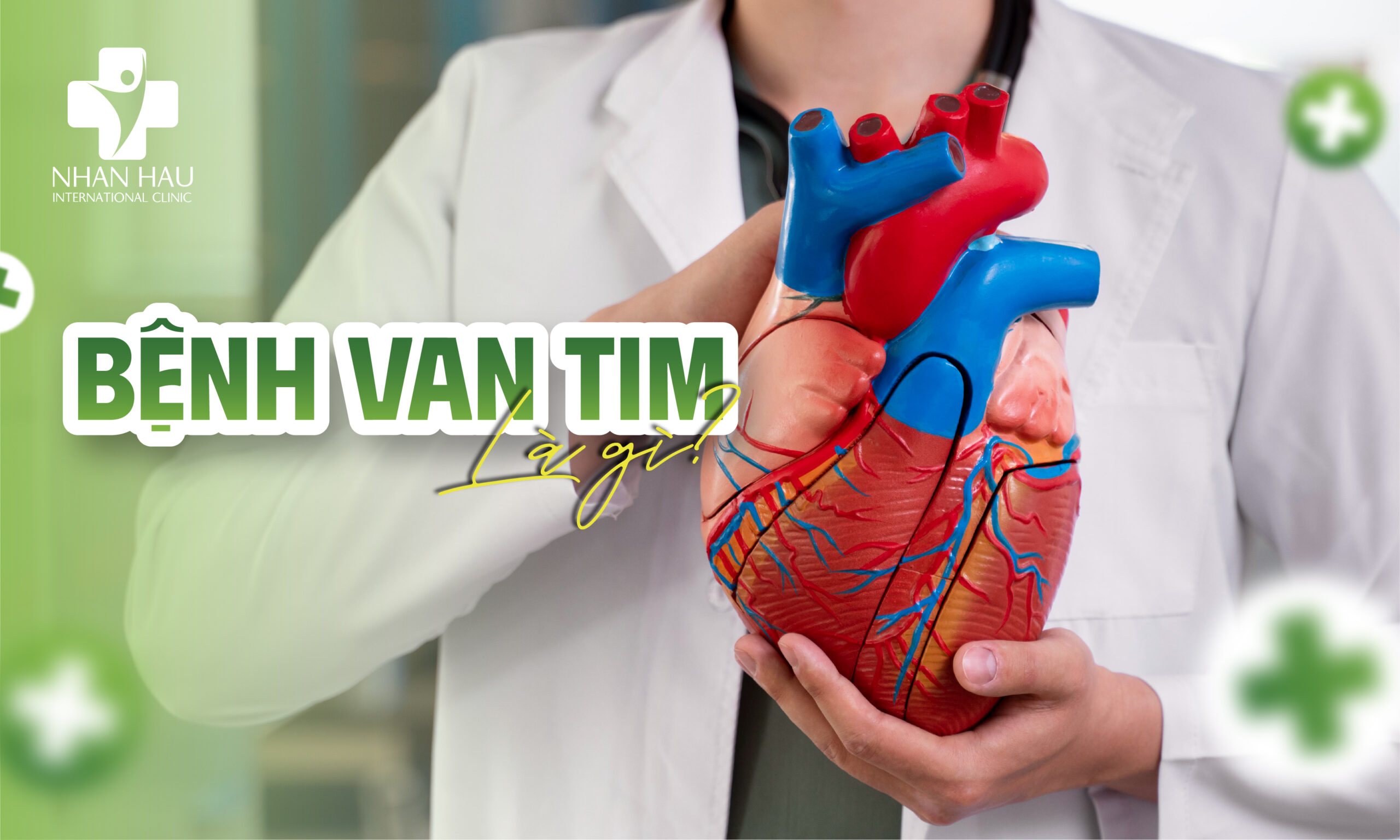 Bệnh Van Tim: Dấu Hiệu, Nguyên Nhân, Chẩn Đoán và Điều Trị 1 Bệnh van tim là gì?