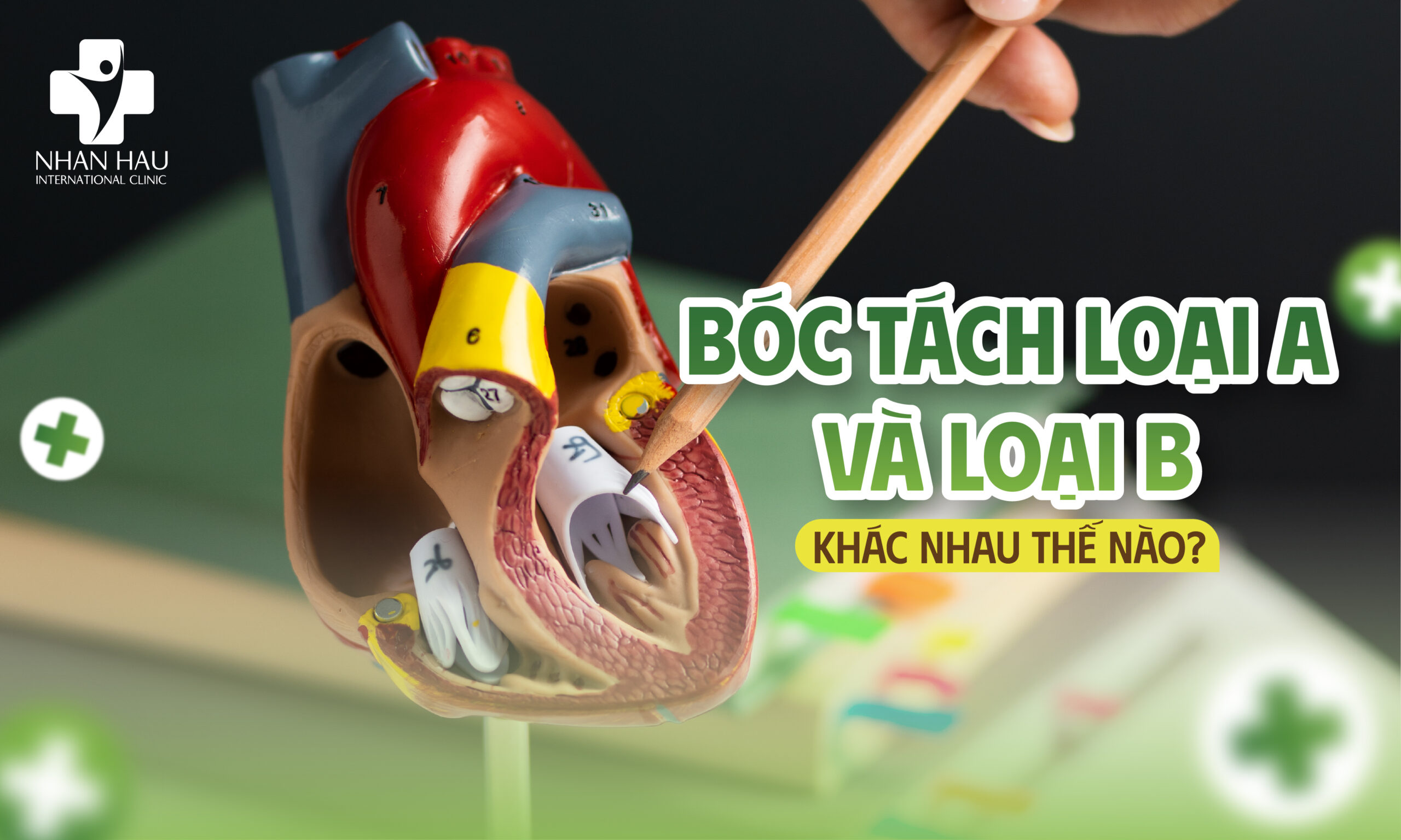 Bóc tách loại A và loại B khác nhau thế nào?