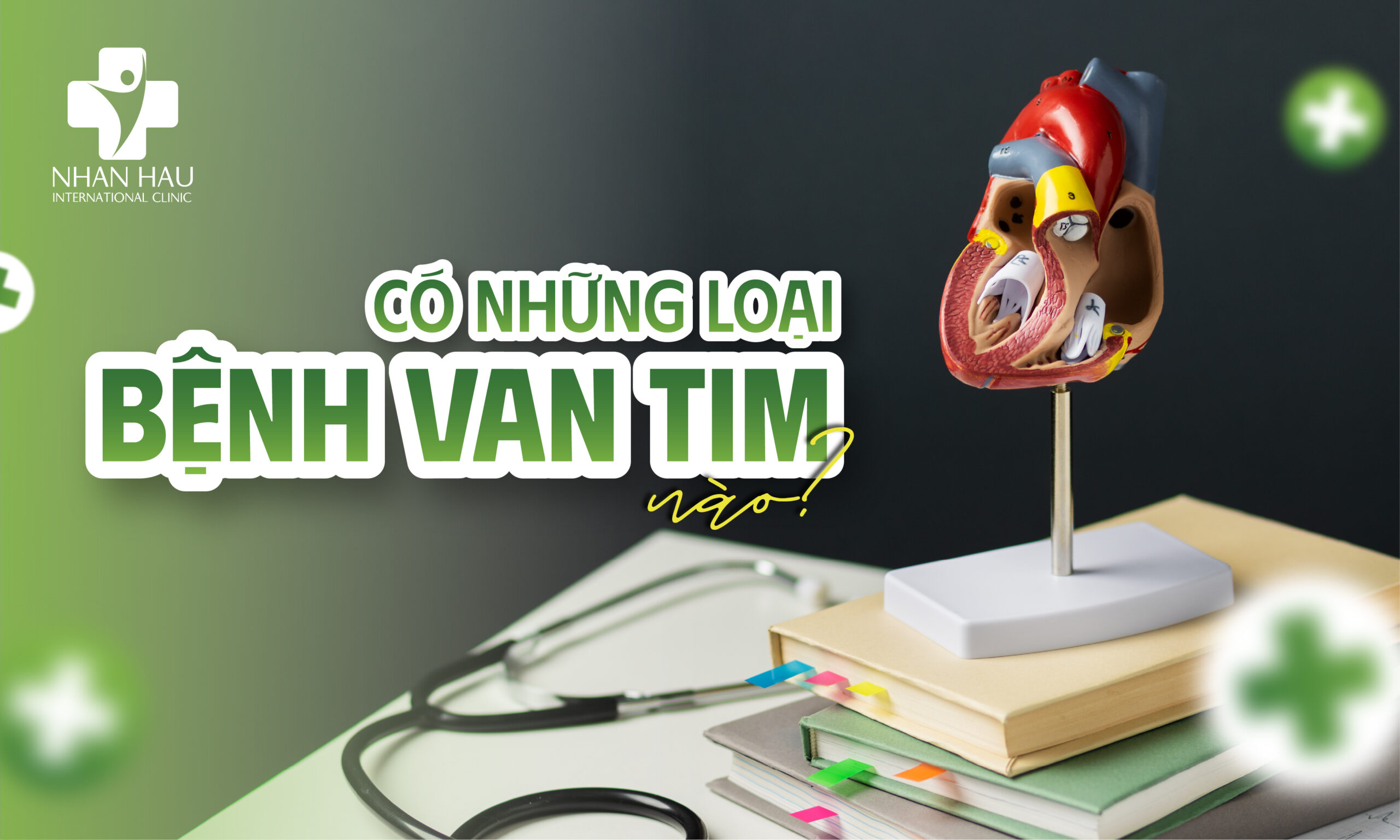 Bệnh Van Tim: Dấu Hiệu, Nguyên Nhân, Chẩn Đoán và Điều Trị 3 Có những loại bệnh van tim nào?