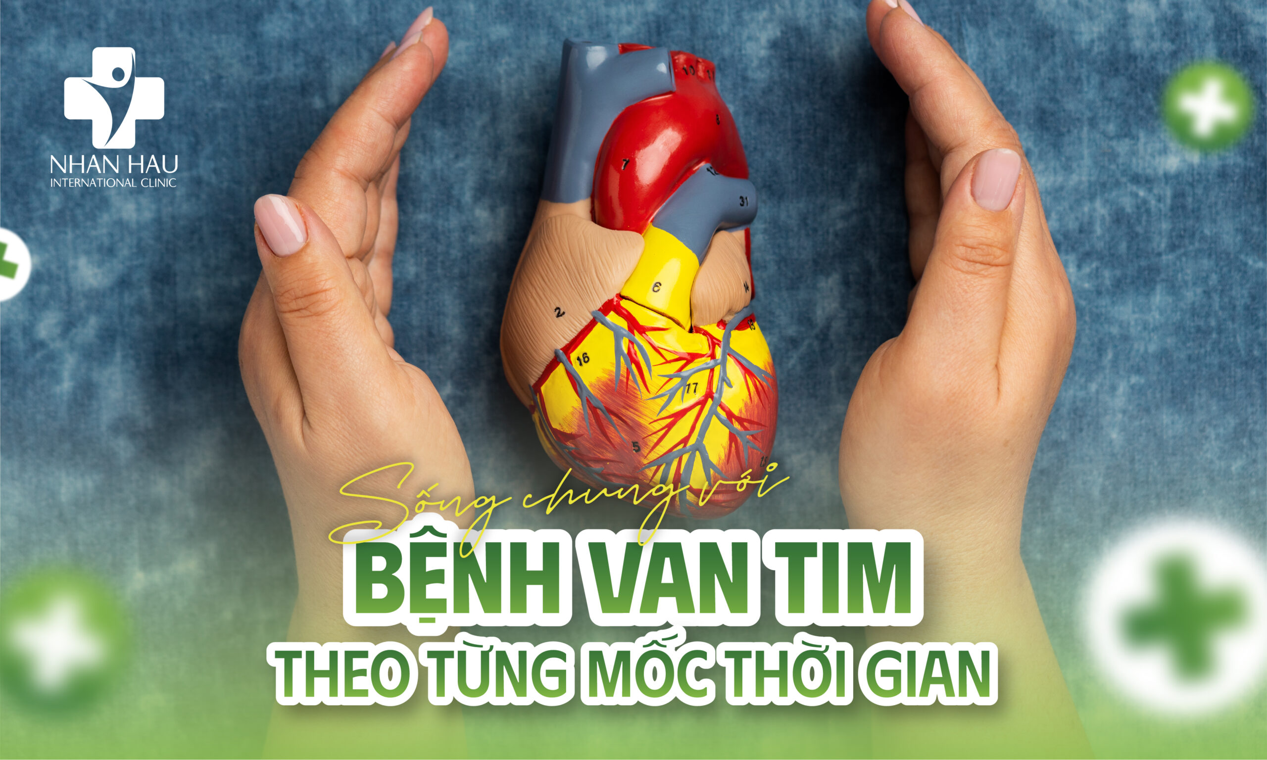 Bệnh Van Tim: Dấu Hiệu, Nguyên Nhân, Chẩn Đoán và Điều Trị 9 Sống chung với bệnh van tim theo từng mốc thời gian