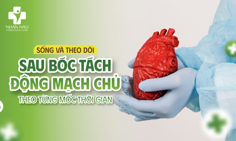 Sống và theo dõi sau bóc tách động mạch chủ theo từng mốc thời gian