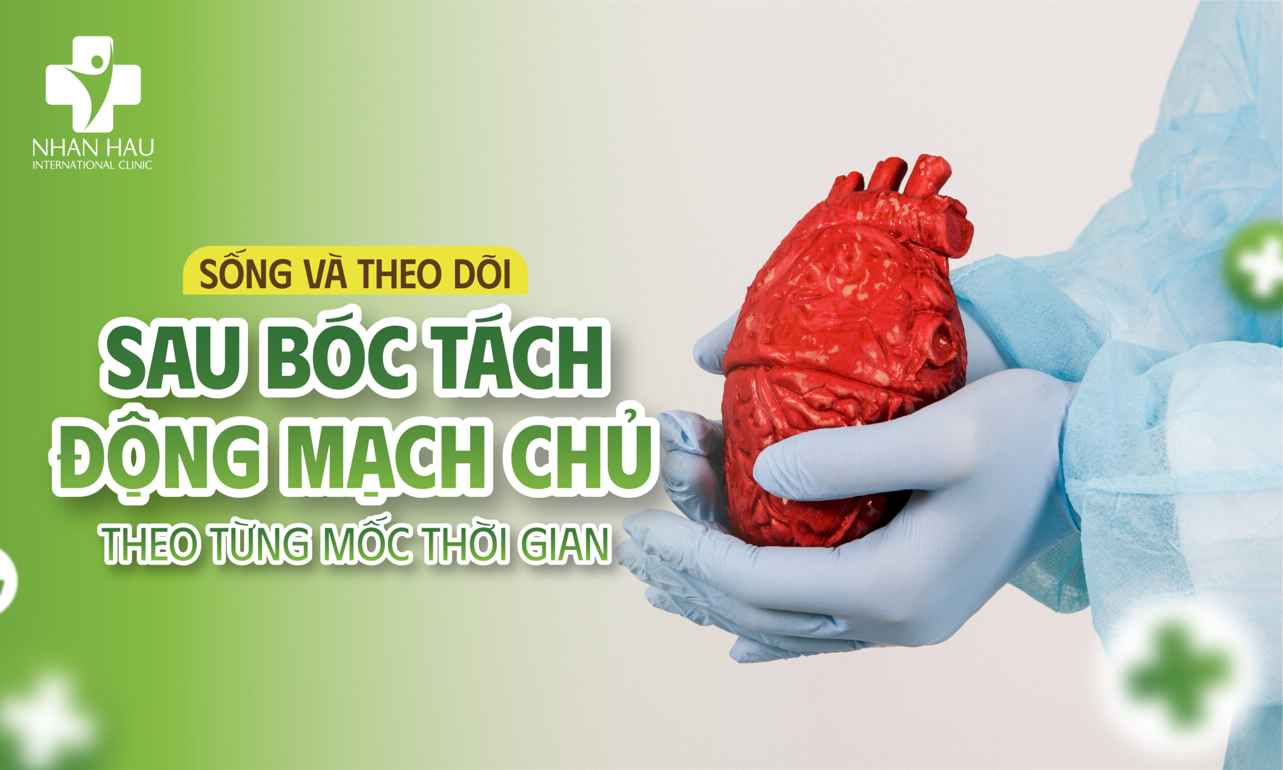 Sống và theo dõi sau bóc tách động mạch chủ theo từng mốc thời gian